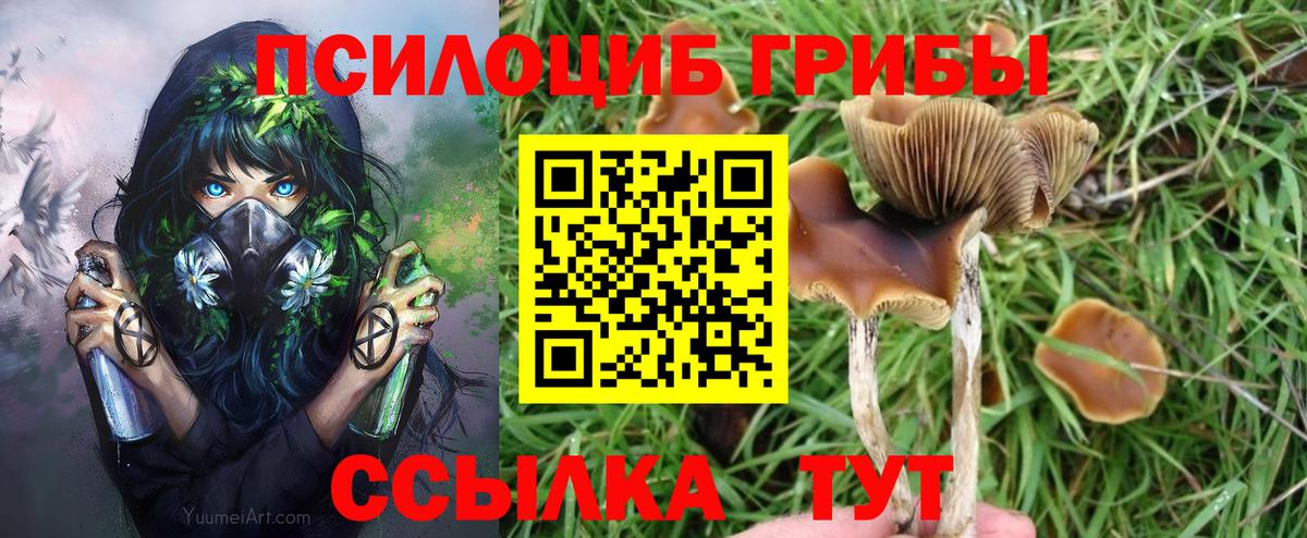 Галлюциногенные грибы GOLDEN TEACHER Реутов