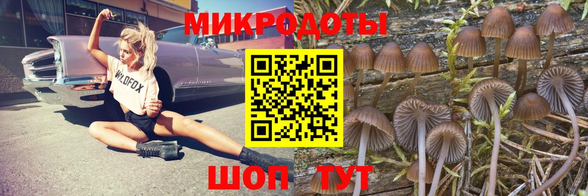 Псилоцибиновые грибы прущие грибы  Галлюциногенные грибы Cubensis  Реутов  Вход с VPN 